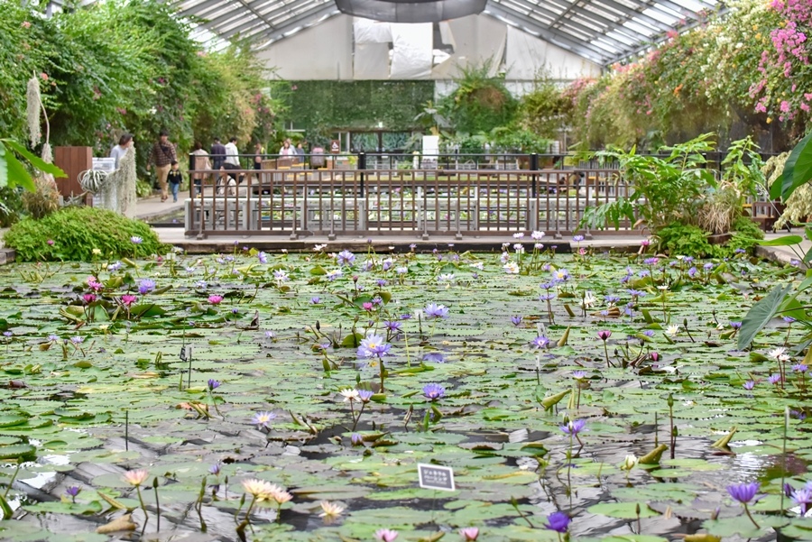 _DSC1524.jpg _DSC1524.jpg