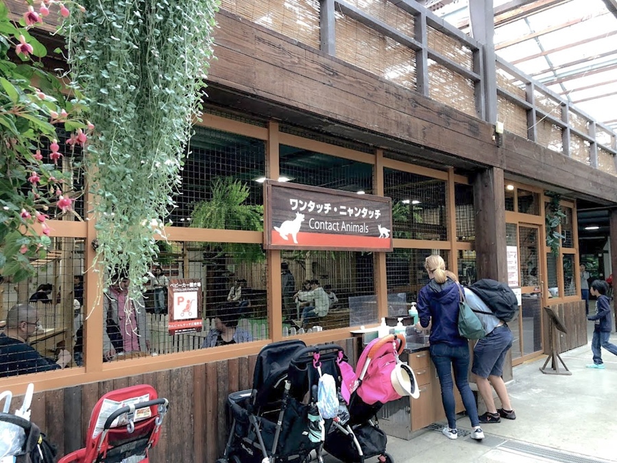 IMG_3722.jpg IMG_3722.jpg