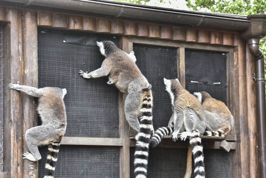 _DSC1319.JPG _DSC1319.JPG