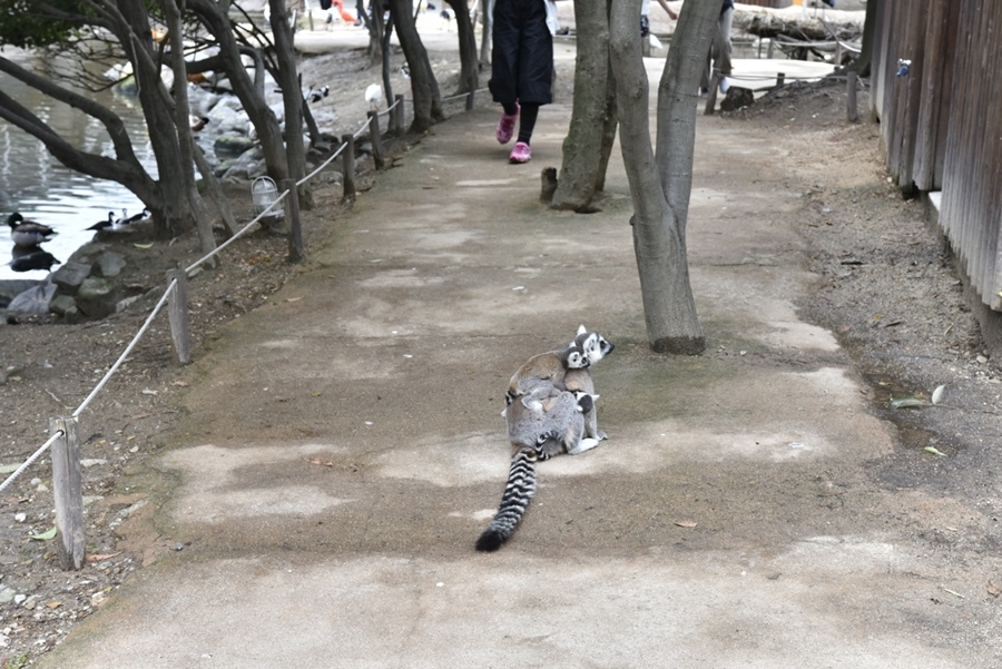 _DSC1318.JPG _DSC1318.JPG