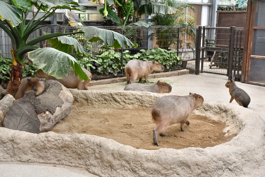 神戶景點 神戶景點