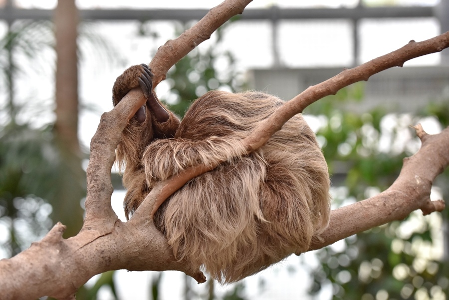 _DSC1507.jpg _DSC1507.jpg