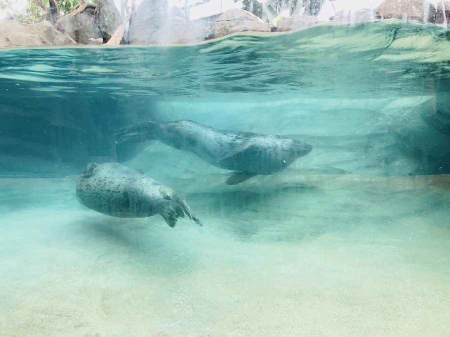 IMG_3606.jpg IMG_3606.jpg