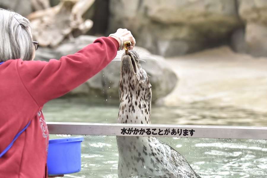 _DSC1498.JPG _DSC1498.JPG