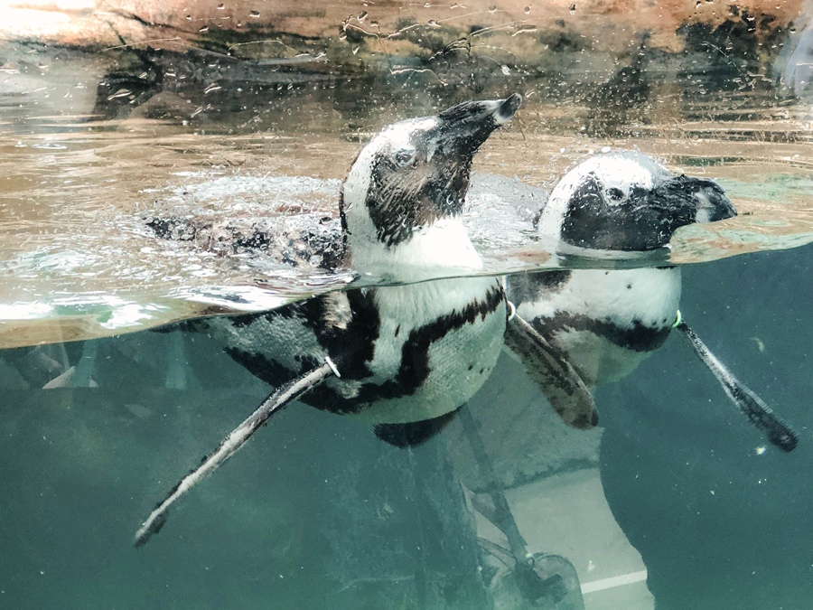 IMG_3670.jpg IMG_3670.jpg