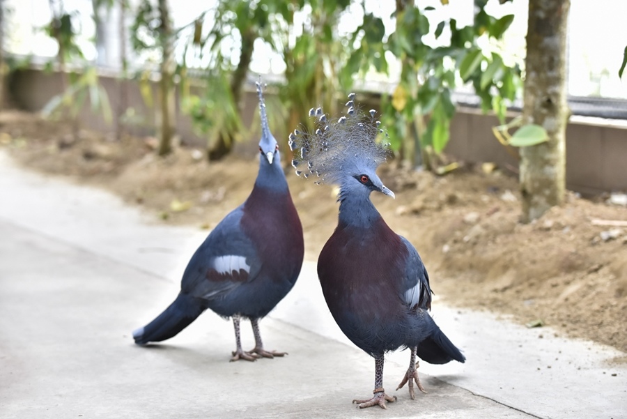 _DSC1501.JPG _DSC1501.JPG