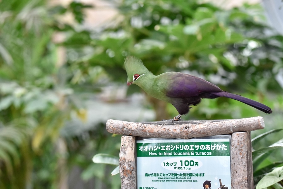 _DSC1506.jpg _DSC1506.jpg