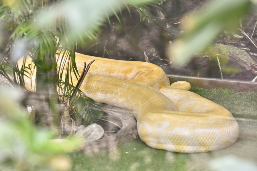 _DSC1513.jpg _DSC1513.jpg