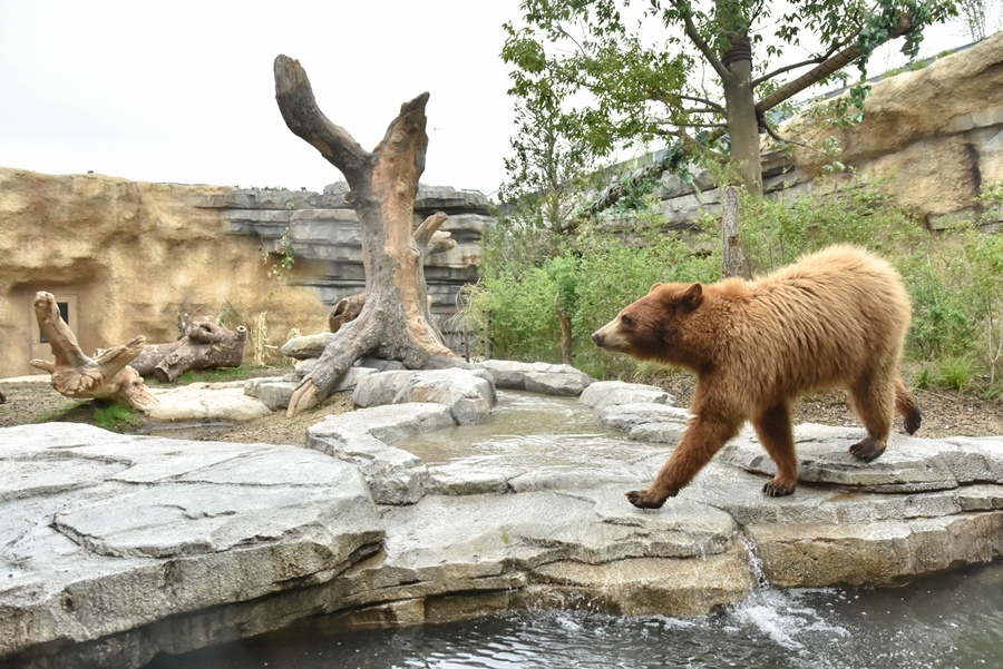 _DSC1431.jpg _DSC1431.jpg