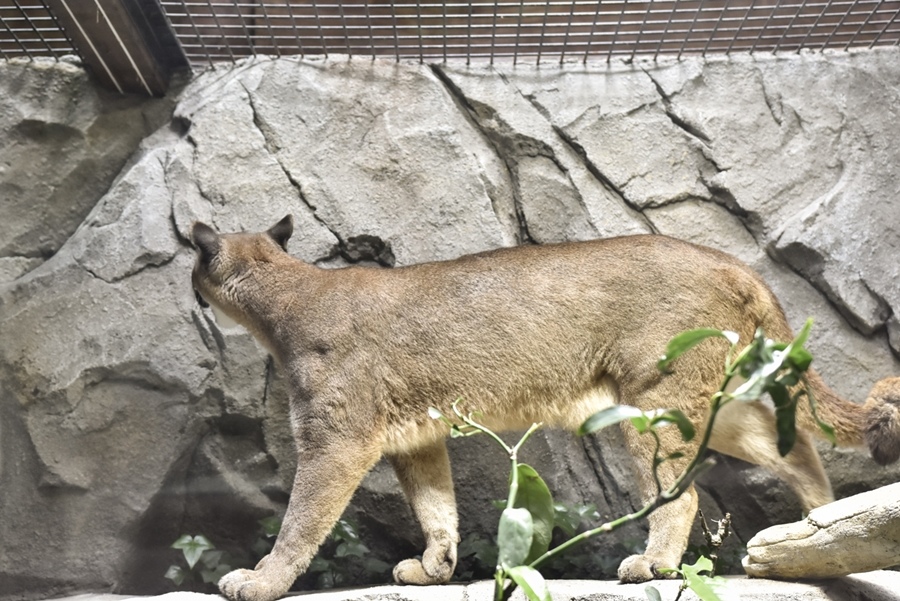 _DSC1414.JPG _DSC1414.JPG