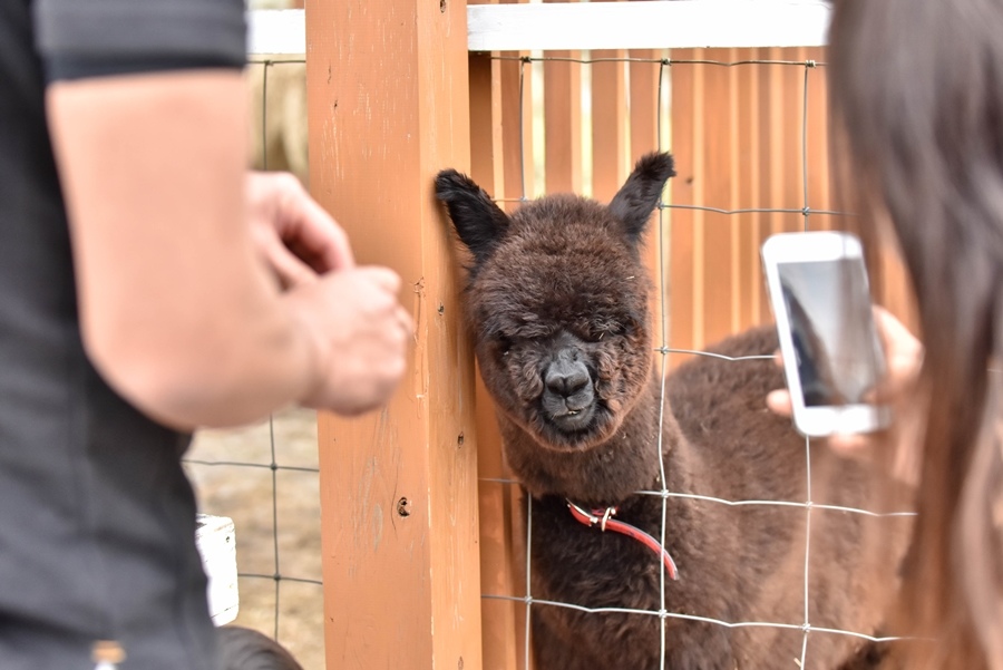 _DSC1459.jpg _DSC1459.jpg