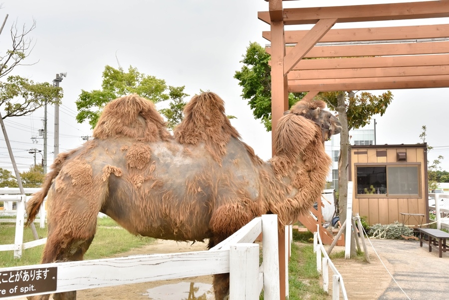 _DSC1435.jpg _DSC1435.jpg