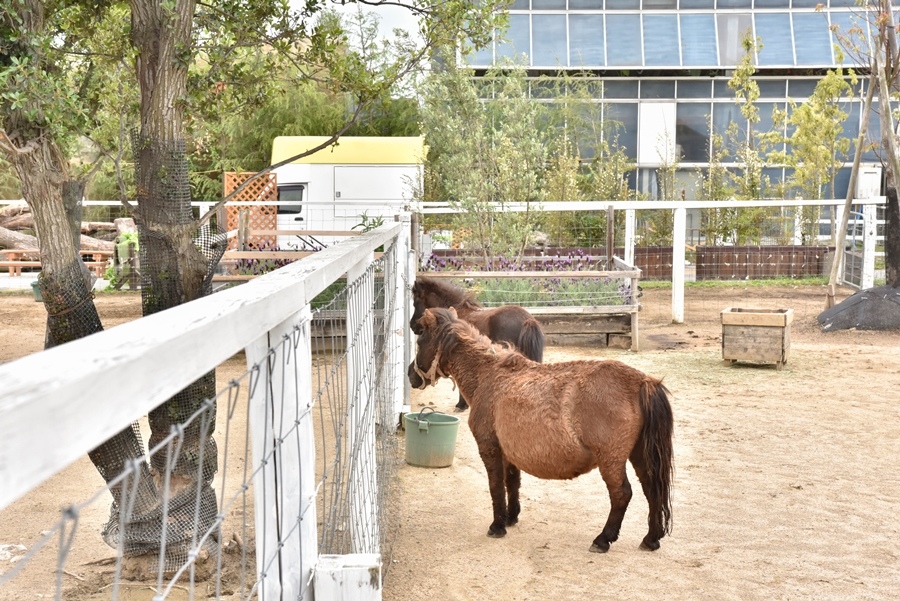 _DSC1443.jpg _DSC1443.jpg