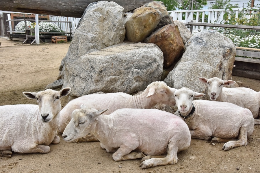 _DSC1434.jpg _DSC1434.jpg