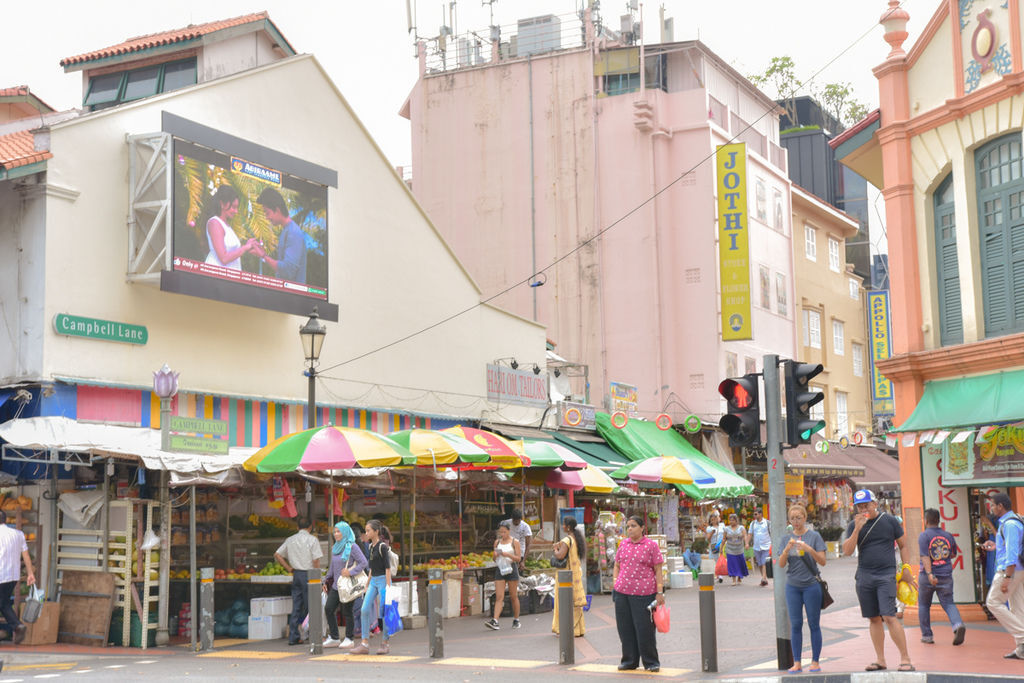 DSC_5239.JPG DSC_5239.JPG