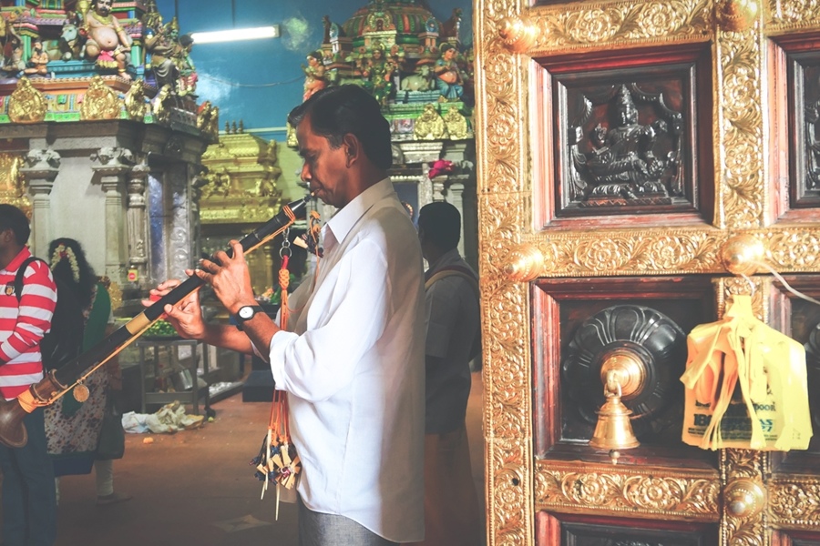 P1090189-1.JPG P1090189-1.JPG