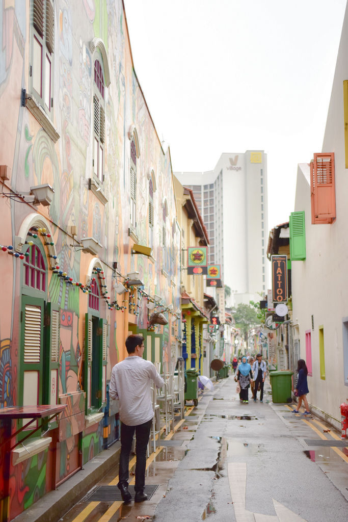 DSC_5309.JPG DSC_5309.JPG