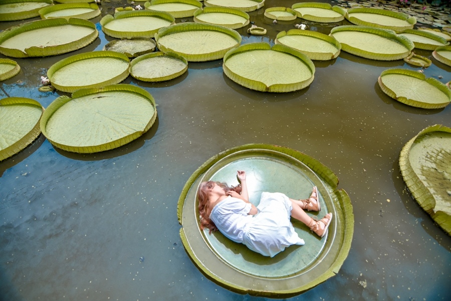 _DSC4680.JPG _DSC4680.JPG