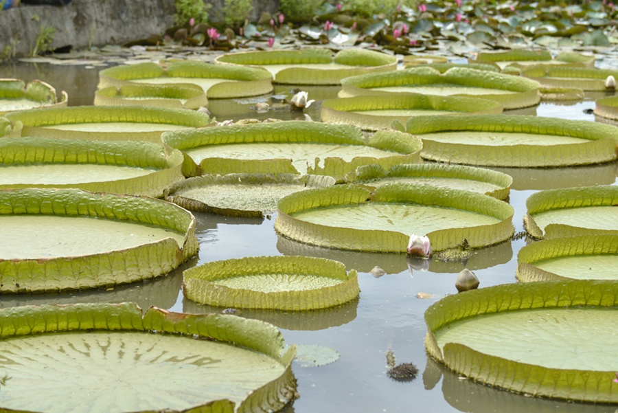 _DSC4688.JPG