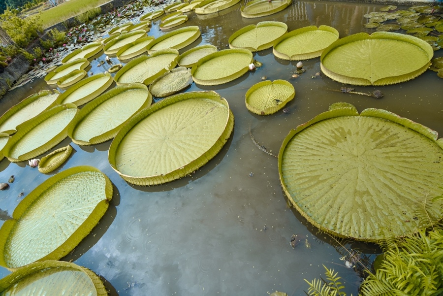 _DSC4664.JPG _DSC4664.JPG