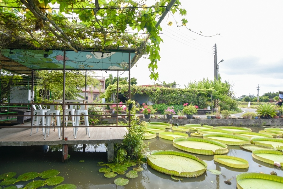 _DSC4672.JPG _DSC4672.JPG