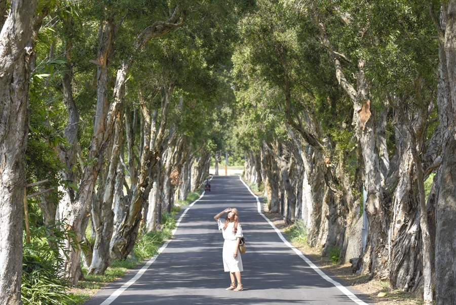 _DSC4756.JPG _DSC4756.JPG