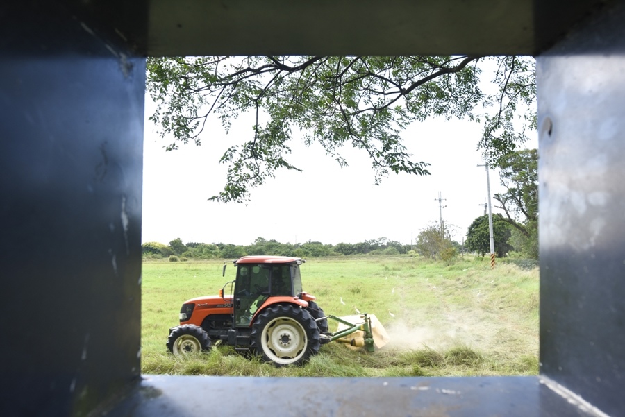 _DSC4831.JPG _DSC4831.JPG