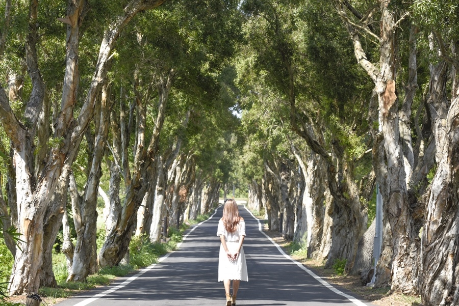 _DSC4782.JPG _DSC4782.JPG