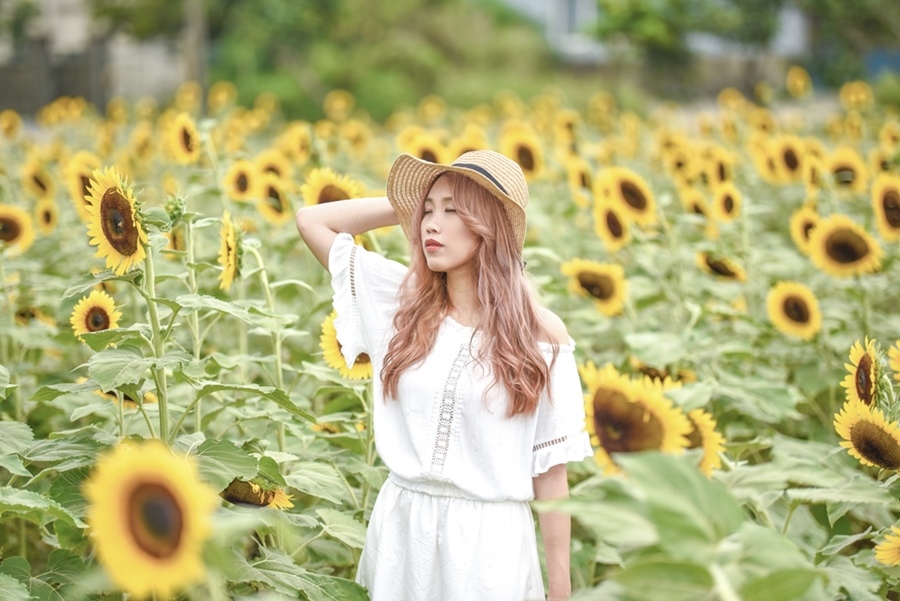 _DSC4885.JPG _DSC4885.JPG