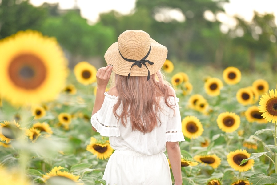 _DSC4910.JPG _DSC4910.JPG