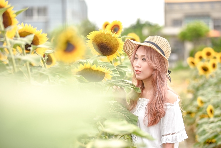 _DSC4873.JPG _DSC4873.JPG