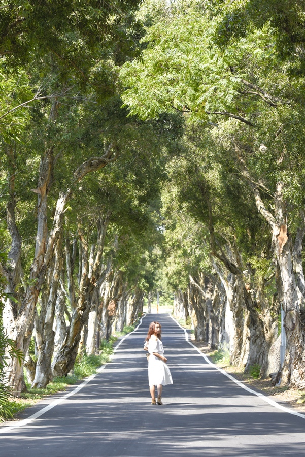 _DSC4767.JPG _DSC4767.JPG