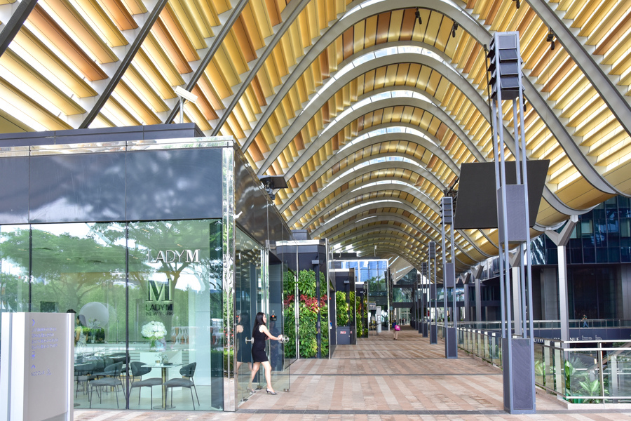 Lady M-26.jpg Lady M-26.jpg