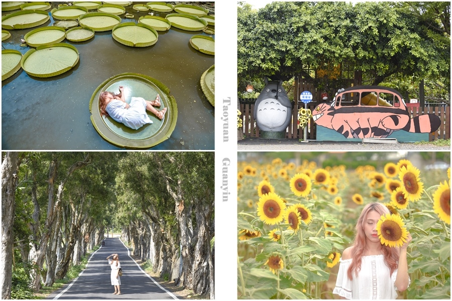 桃園觀音一日遊 桃園觀音一日遊