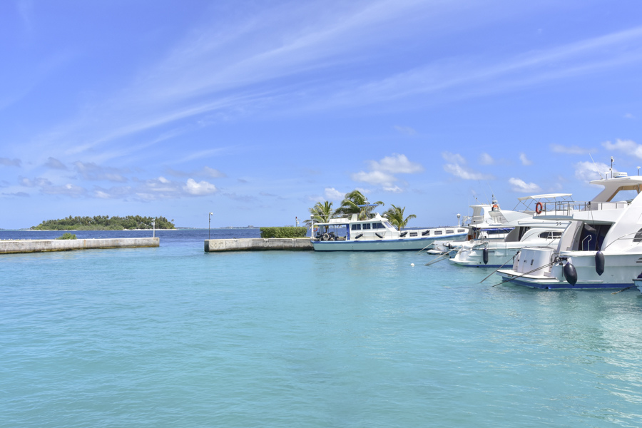 DSC_2818.JPG DSC_2818.JPG