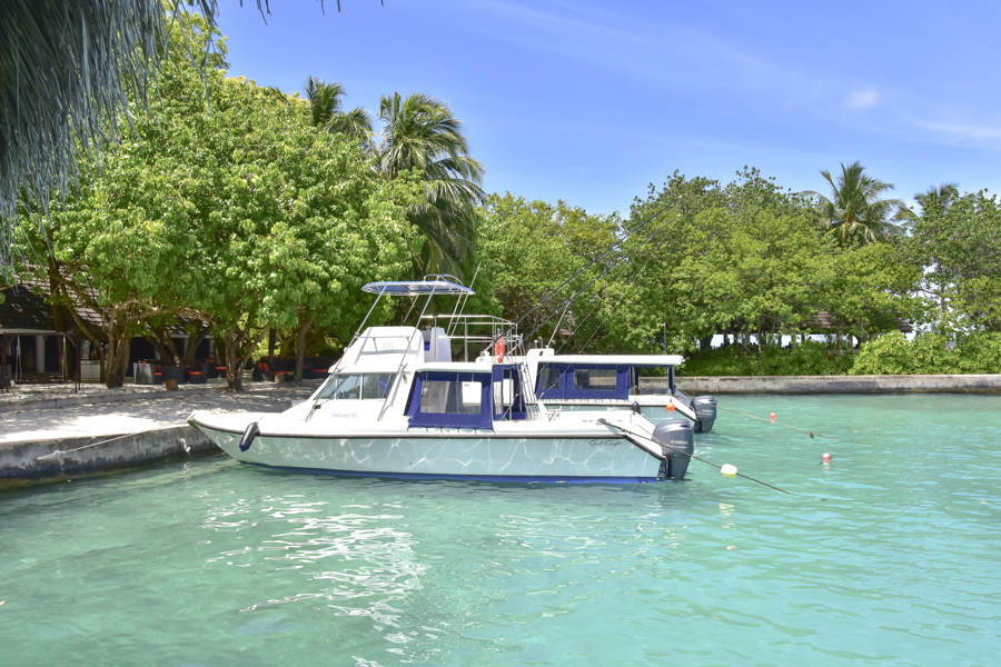 DSC_2823.JPG