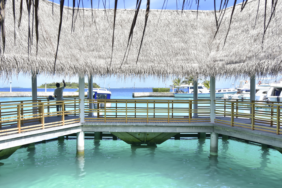 DSC_2815.JPG DSC_2815.JPG