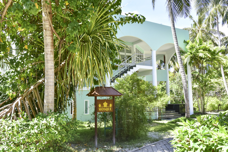 DSC_2867.JPG DSC_2867.JPG