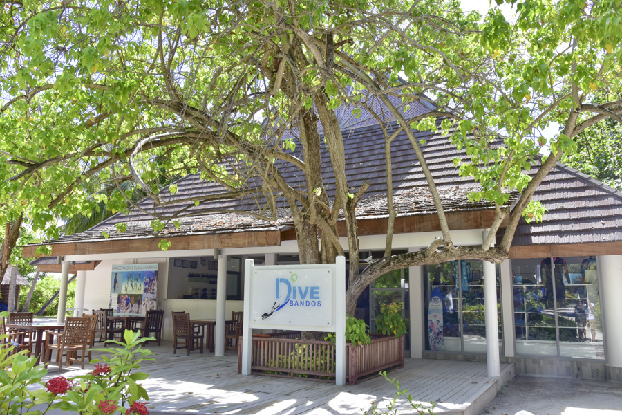 DSC_2909.JPG DSC_2909.JPG