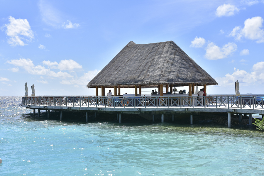 DSC_2907.JPG DSC_2907.JPG