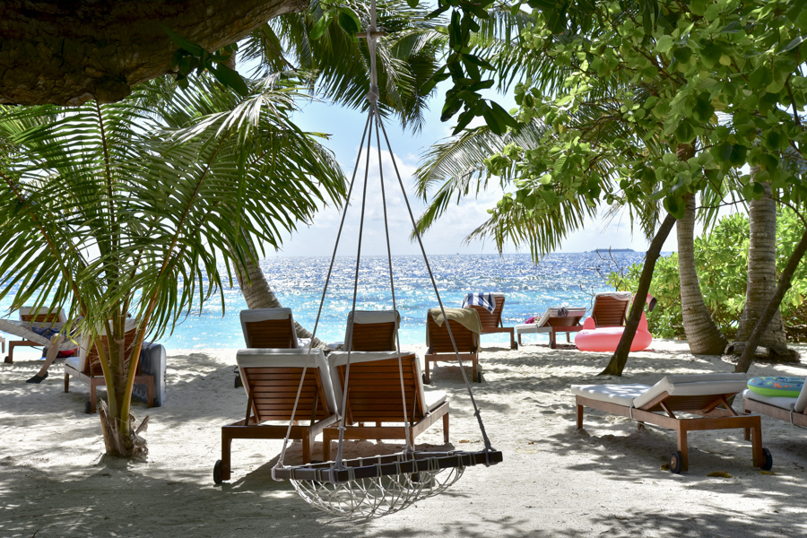 DSC_2912.JPG DSC_2912.JPG