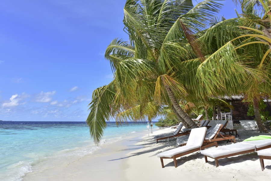 DSC_2921.JPG DSC_2921.JPG