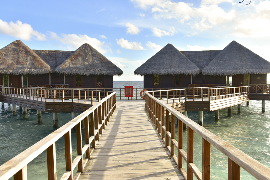 DSC_3050.JPG DSC_3050.JPG