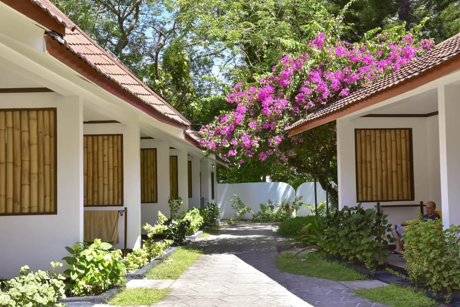 DSC_2861.JPG DSC_2861.JPG