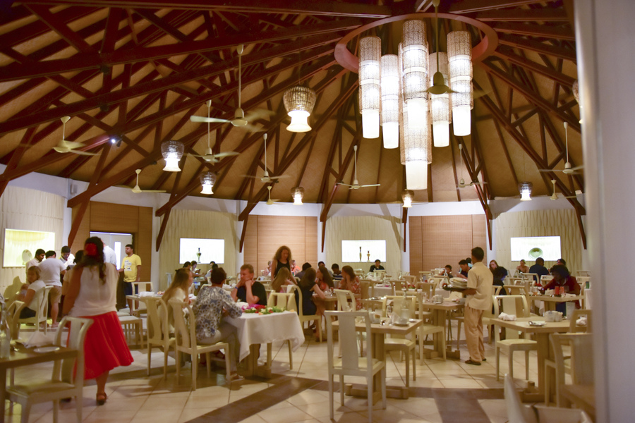 DSC_3238.JPG DSC_3238.JPG