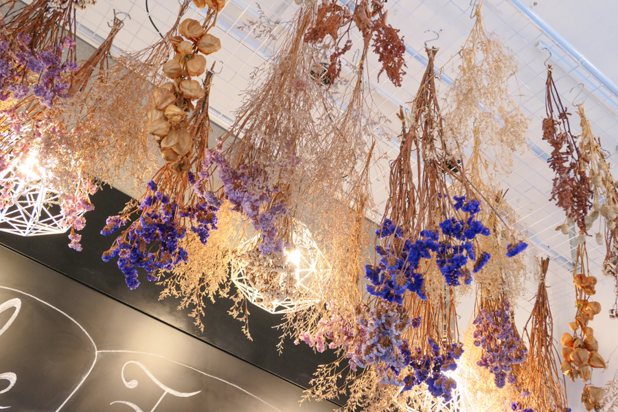 P1230598.jpg P1230598.jpg