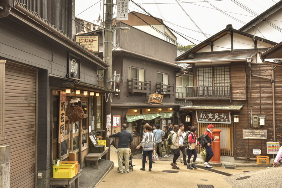 _DSC0363.JPG _DSC0363.JPG