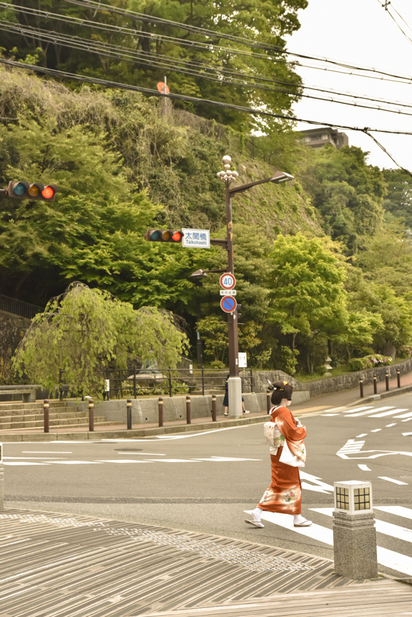 _DSC0410.JPG _DSC0410.JPG