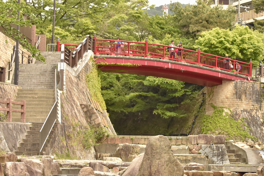 _DSC0466.JPG _DSC0466.JPG