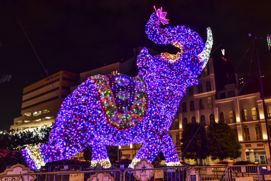 DSC_2135.JPG DSC_2135.JPG